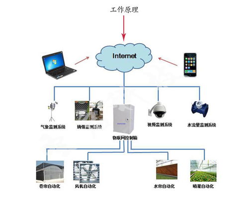 圣啟農(nóng)業(yè)物聯(lián)網(wǎng)技術(shù) 引領(lǐng)溫室農(nóng)業(yè)發(fā)展的網(wǎng)絡(luò)技術(shù)革命